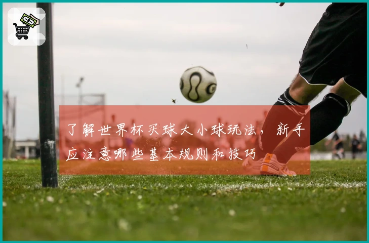 了解世界杯买球大小球玩法，新手应注意哪些基本规则和技巧